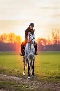Reiterin auf einem weißen Pferd bei Sonnenuntergang auf einem Feld.