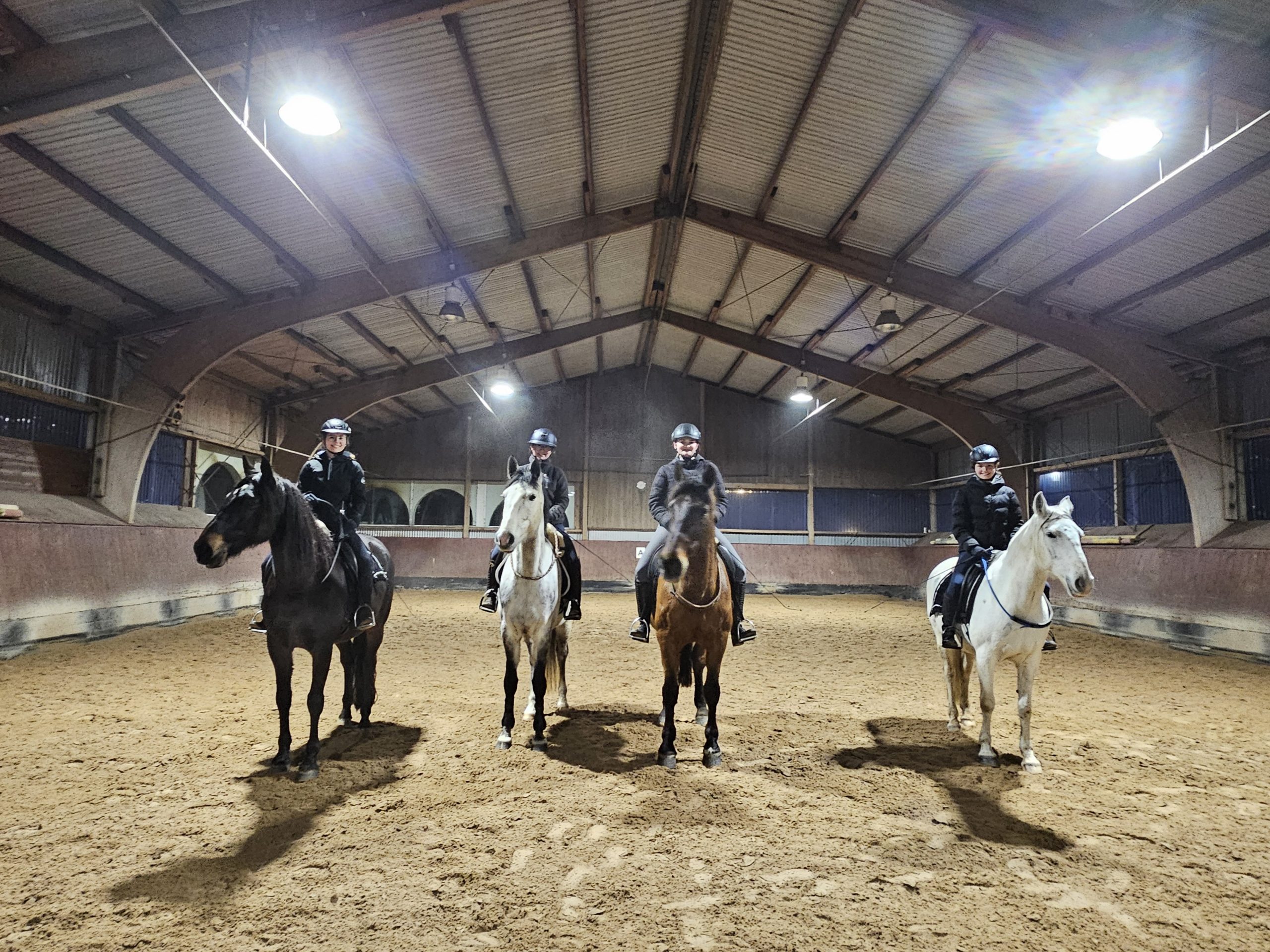Gemeinsames Reiten in der Halle des Reiterhofs Conrad ohne Trense zur Steigerung von Vertrauen