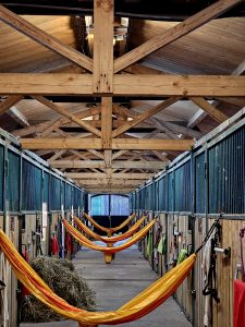 Stallgasse mit Pferdeboxen und Holzdach auf dem Reiterhof Conrad mit Hängematten