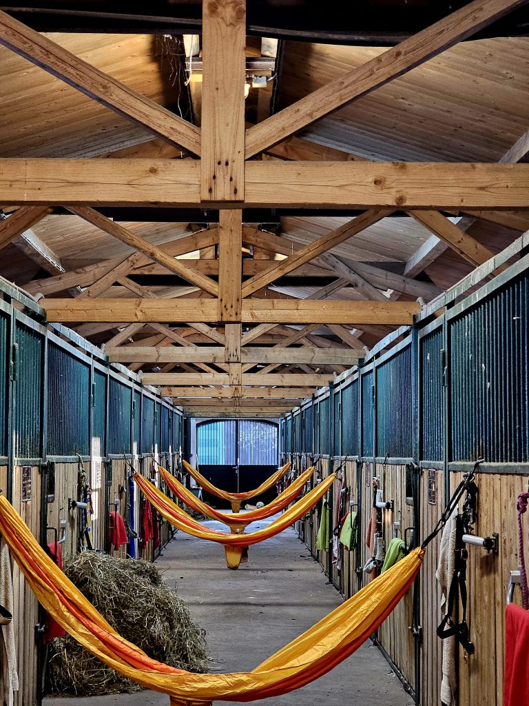 Stallgasse mit Pferdeboxen und Holzdach auf dem Reiterhof Conrad mit Hängematten
