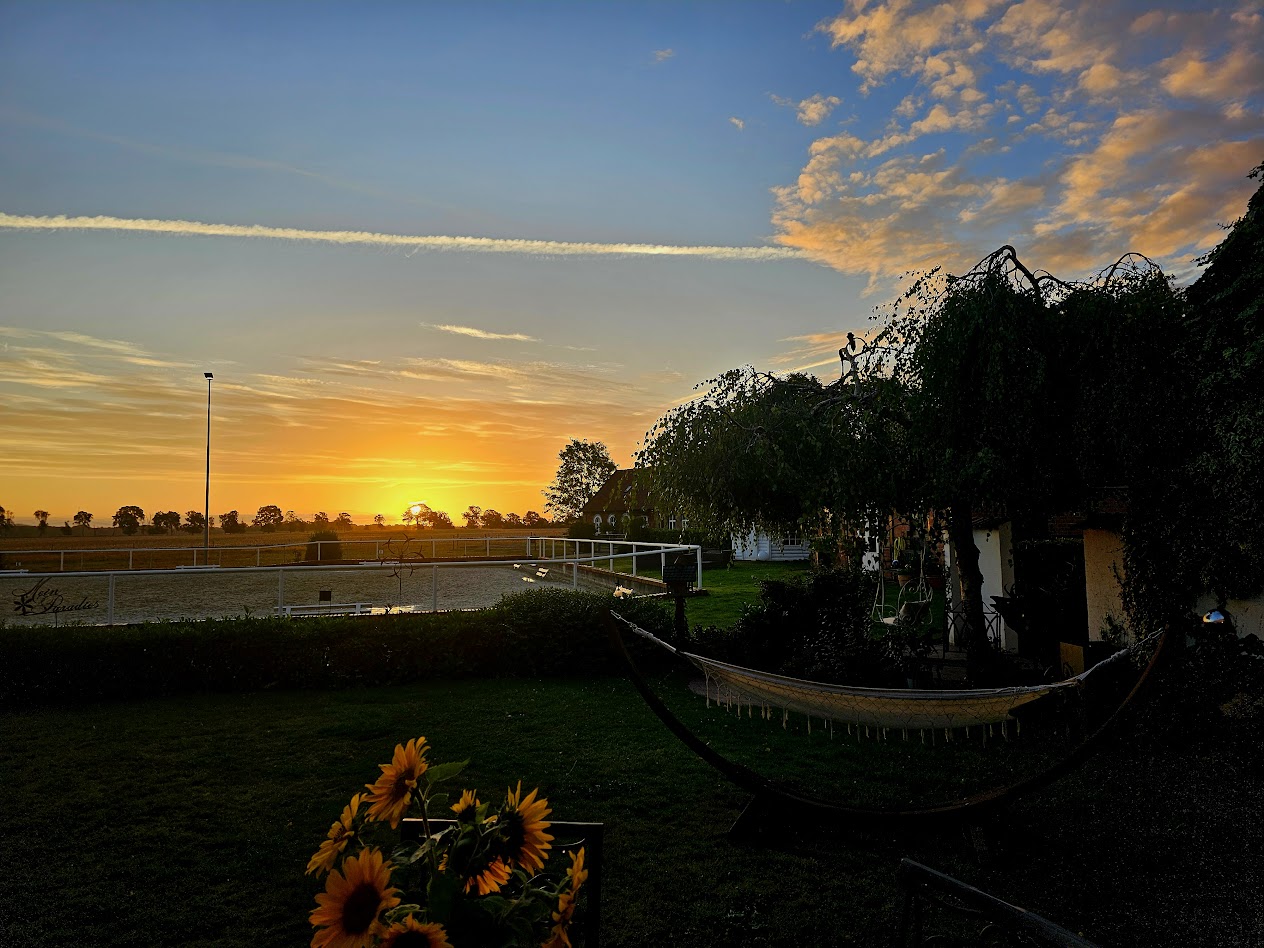 Garten vor dem Reitplatz bei Sonnenuntergang