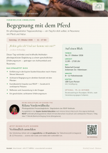 Beitragsbild: Begegnung mit dem Pferd – Tagesworkshop am 17. Oktober 2026 am Reiterhof Conrad